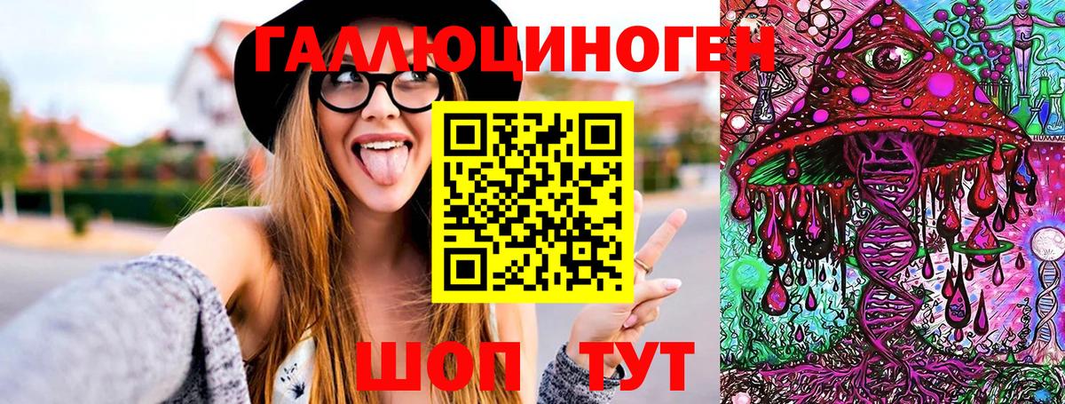 Псилоцибиновые грибы Psilocybe Приморско-Ахтарск