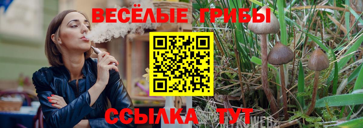 наркота  Галлюциногенные грибы ЛСД  Вход с VPN  Приморско-Ахтарск 
